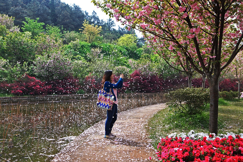 新津花舞人間景區(qū)