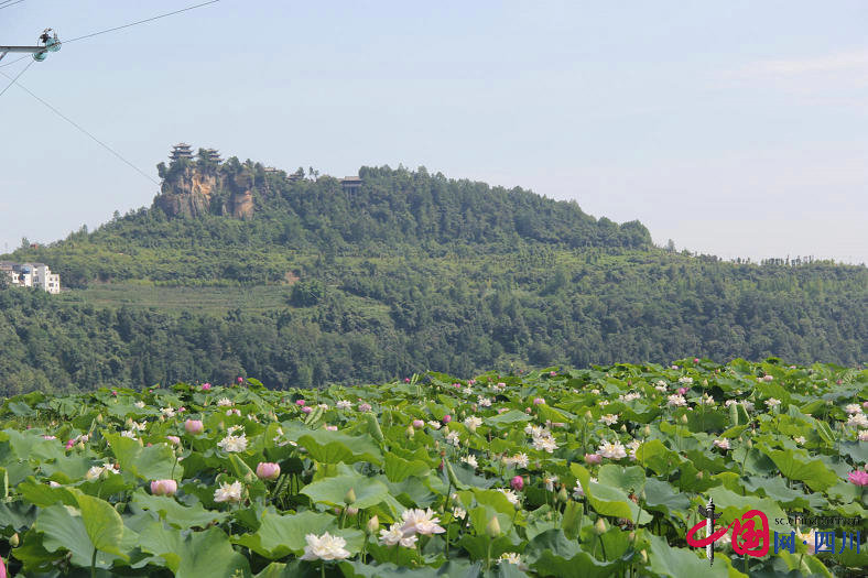 平昌縣靈山鎮(zhèn)