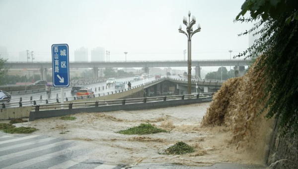 四川綿陽(yáng)遭暴雨襲擊 城區(qū)積水樹木倒伏(圖)